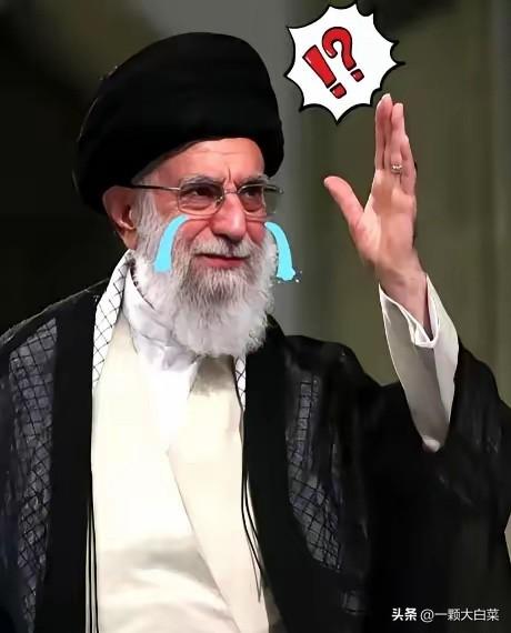 哈梅内伊可以瞑目了！

虽然他的妻子，女儿，女婿，儿媳，孙女都被袭击身亡，万幸的