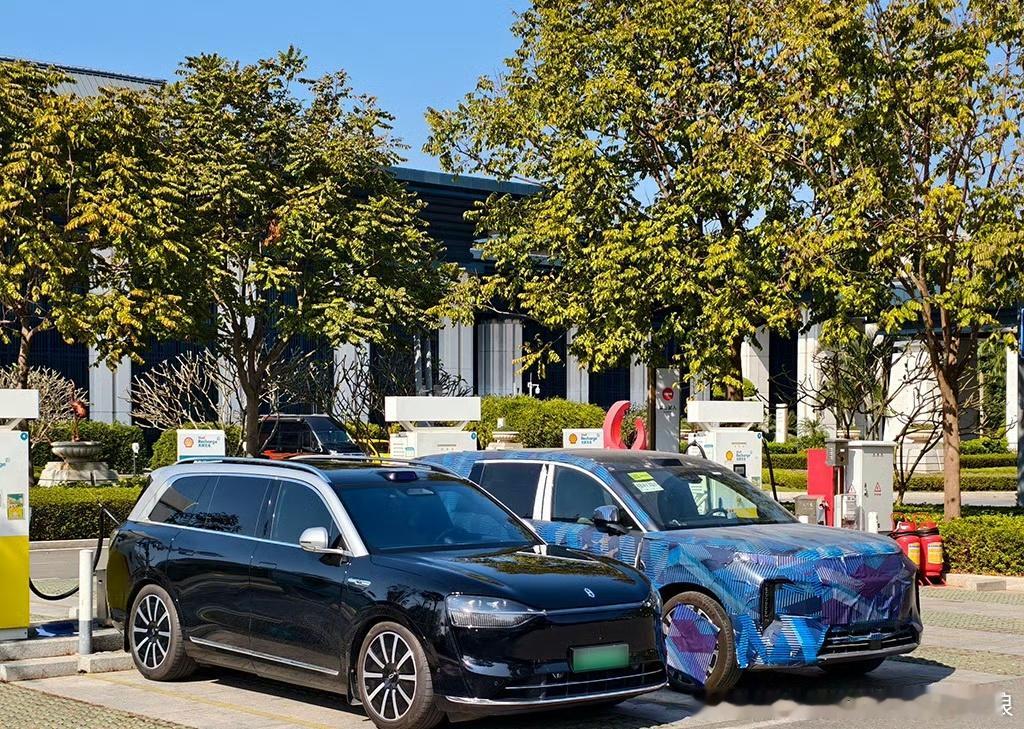 比亚迪大唐这次拉出了问界M9和理想L9，这气场如何？不过可能是冲着另一个M9去的