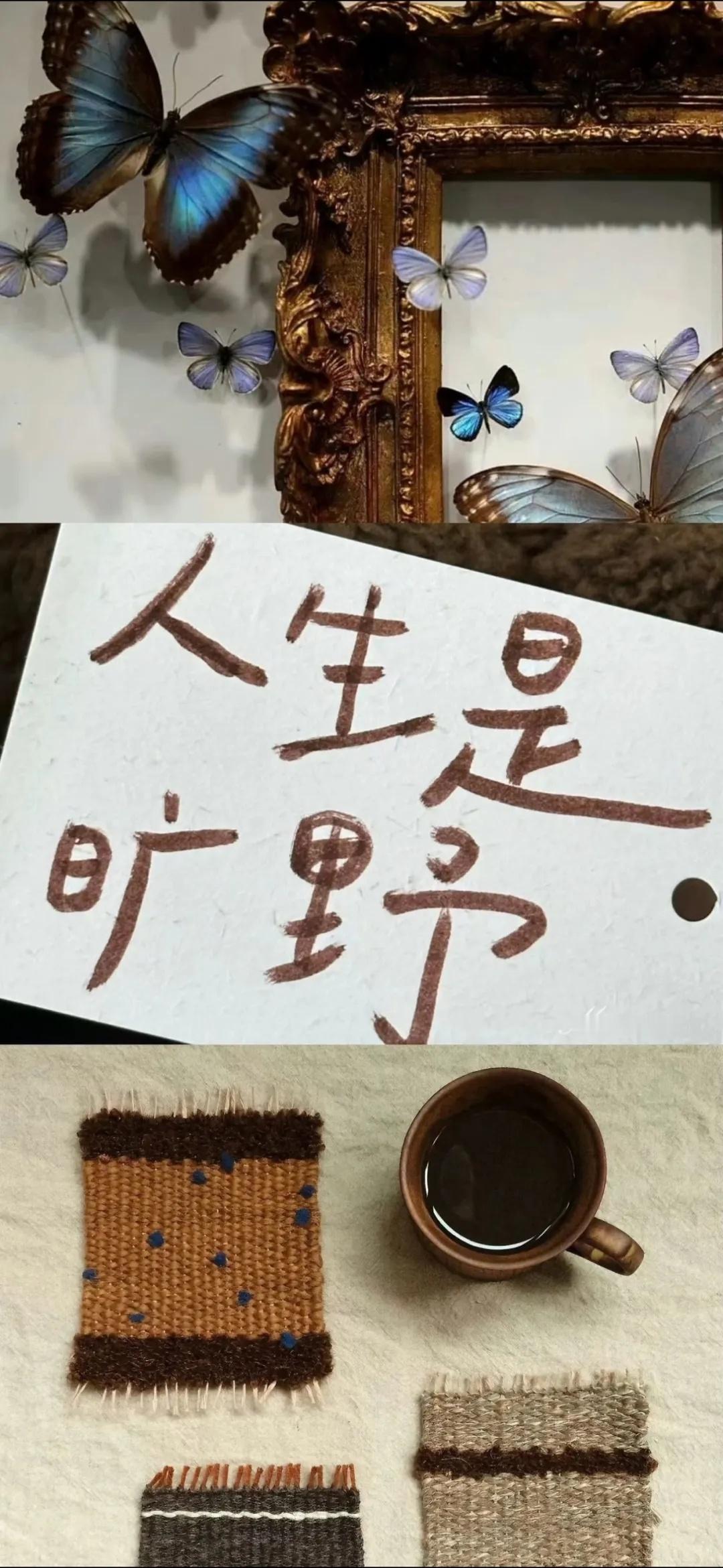 相信一切是最好的安排，愿你永远相信，万事皆有回响。 