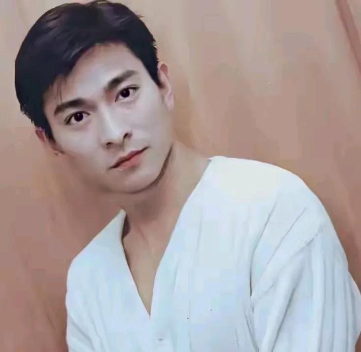 刘德华真的是上帝的宠儿，而且是独宠他一人，不仅给了他英俊帅气的容颜，给了他才华，