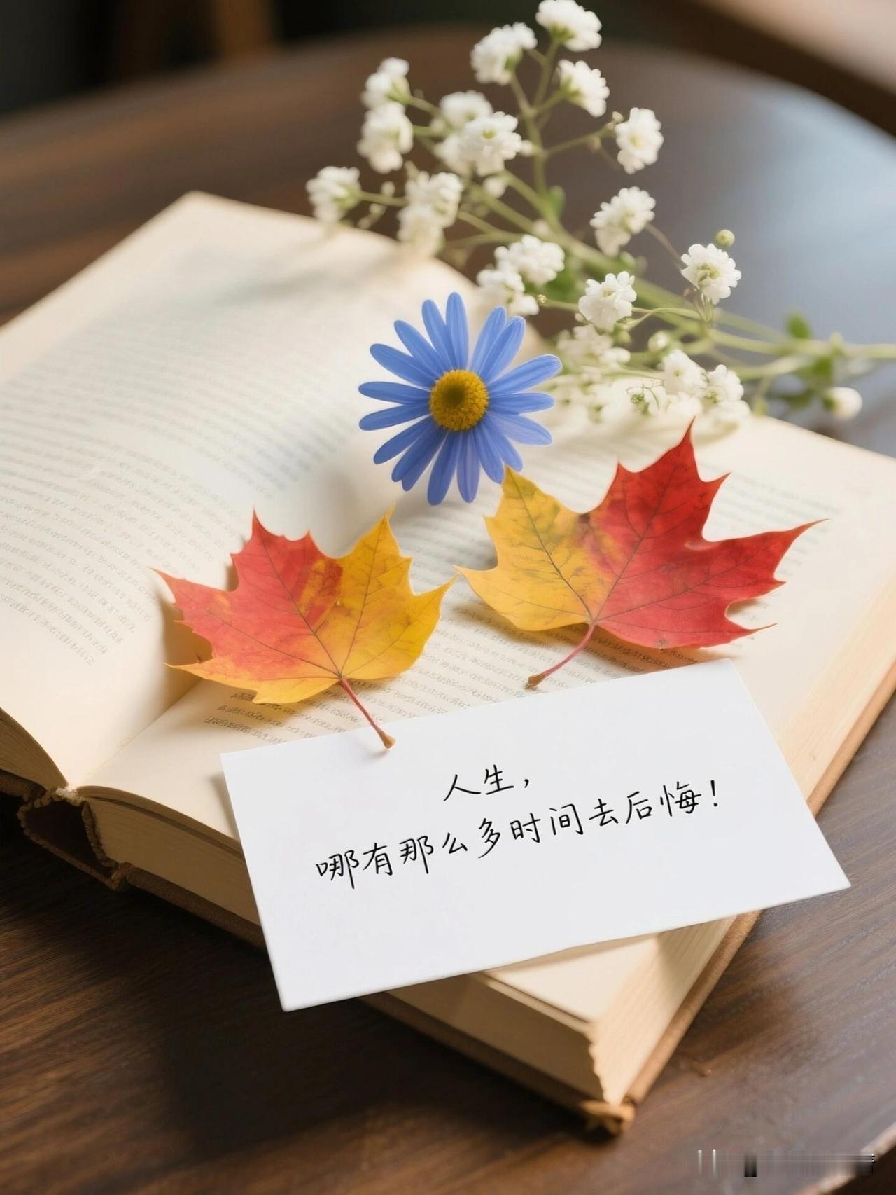 时常看见不少人满心迷茫，终日奔波追逐财富、名望，忙到身心俱疲，夜深独处时却只剩空