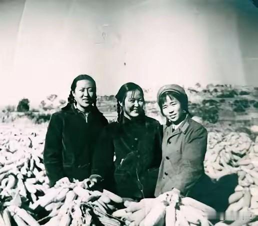 1977年，女知青李雪梅准备参加高考，却被丈夫偷喂了安眠药，最后错过了考试。李雪