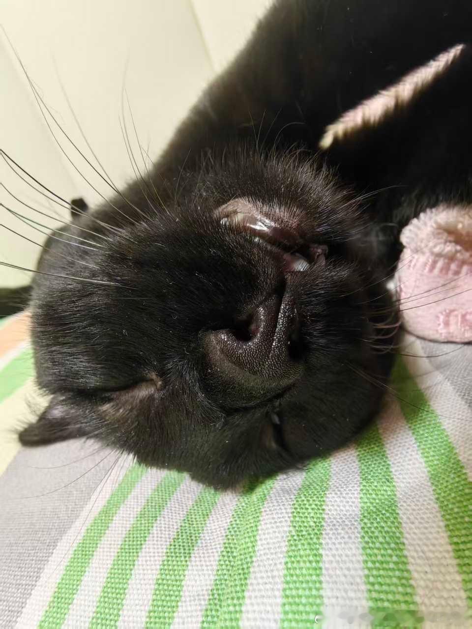 49429【忧郁大叔】 