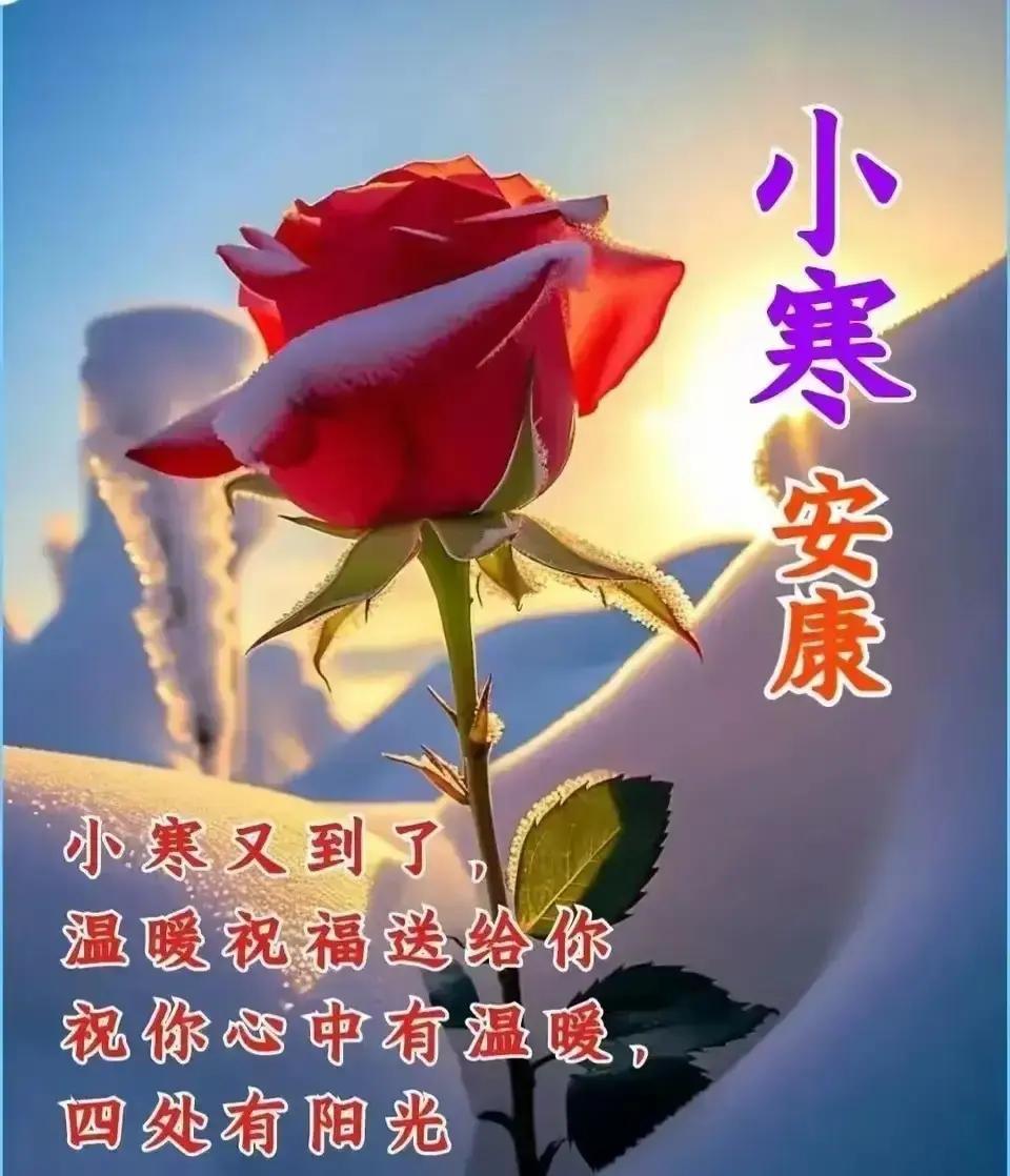 1月5日小寒，刷手机一上午，全是博主在送温暖。
雪景图配热茶，文案写着“愿你心中