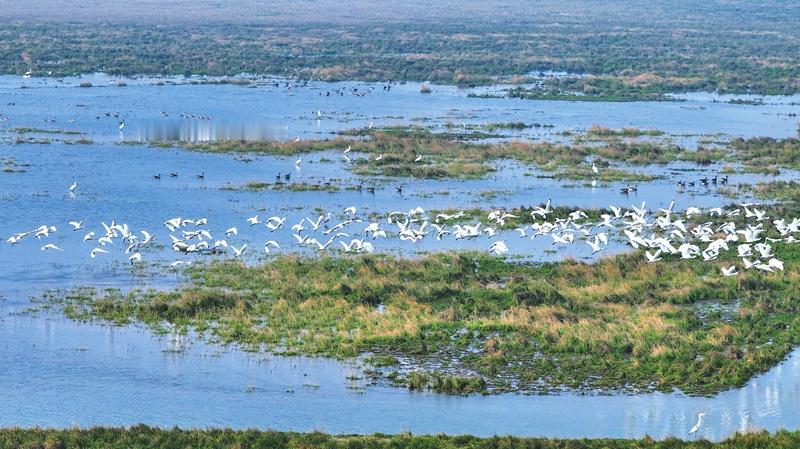 庄子《天地》之八

 泰初有无，无有无名。一之所起，有一而未形。物得以生，谓之德