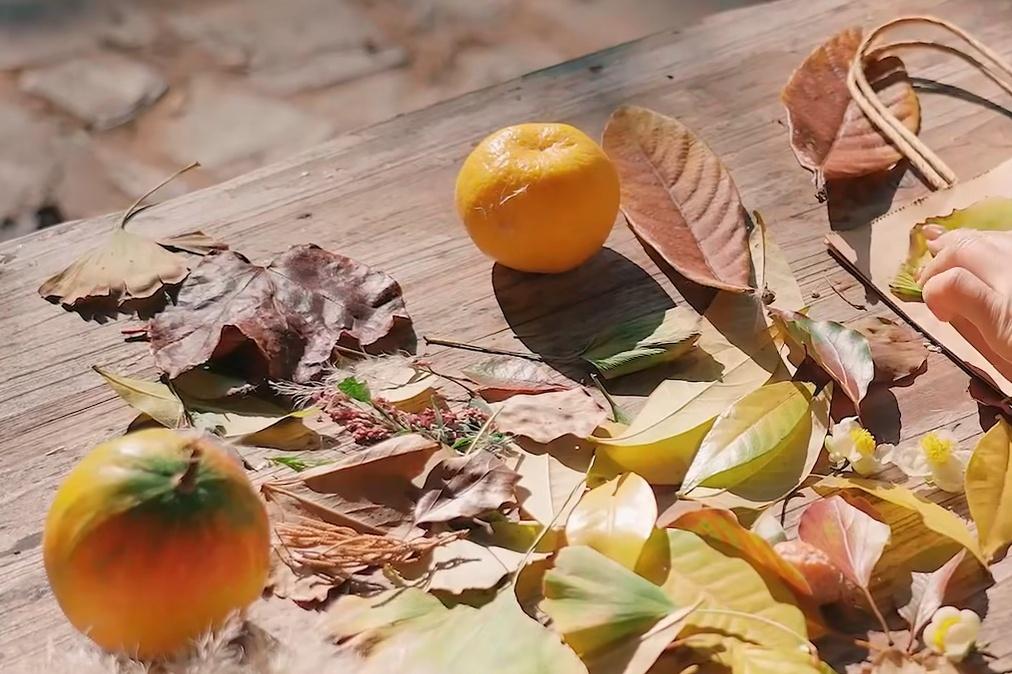 【去西山岛“捡秋”吧！】
在西山岛“捡秋”，漫步在林间小道上，脚下是厚厚的落叶地