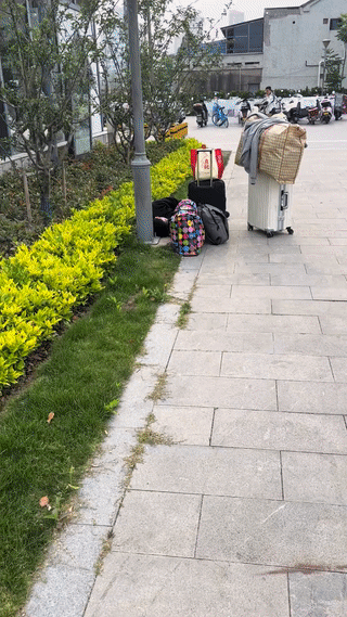 苏州网友在街头发现一个年轻男孩竟然一个人带着行李躺在路边绿化带边上休息？
也不知