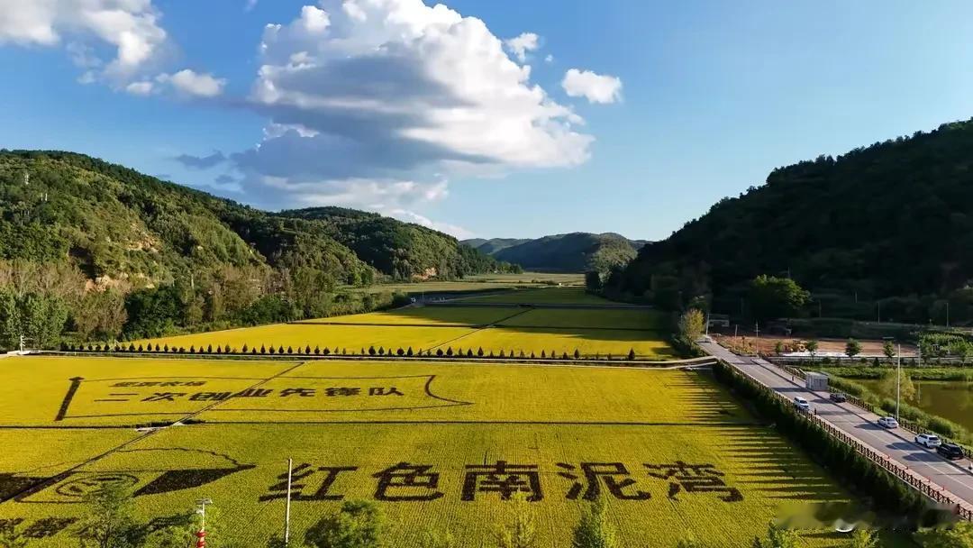 今年夏天来到陕北的南泥湾。如今的南泥湾，据当地数据统计显示已发展成一个拥有503