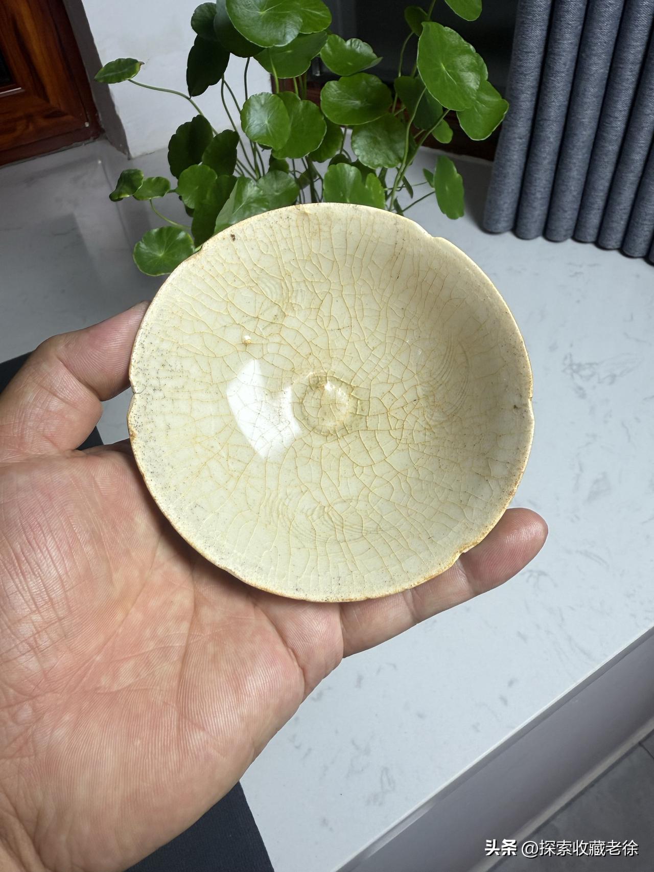 展示一下你的收藏品