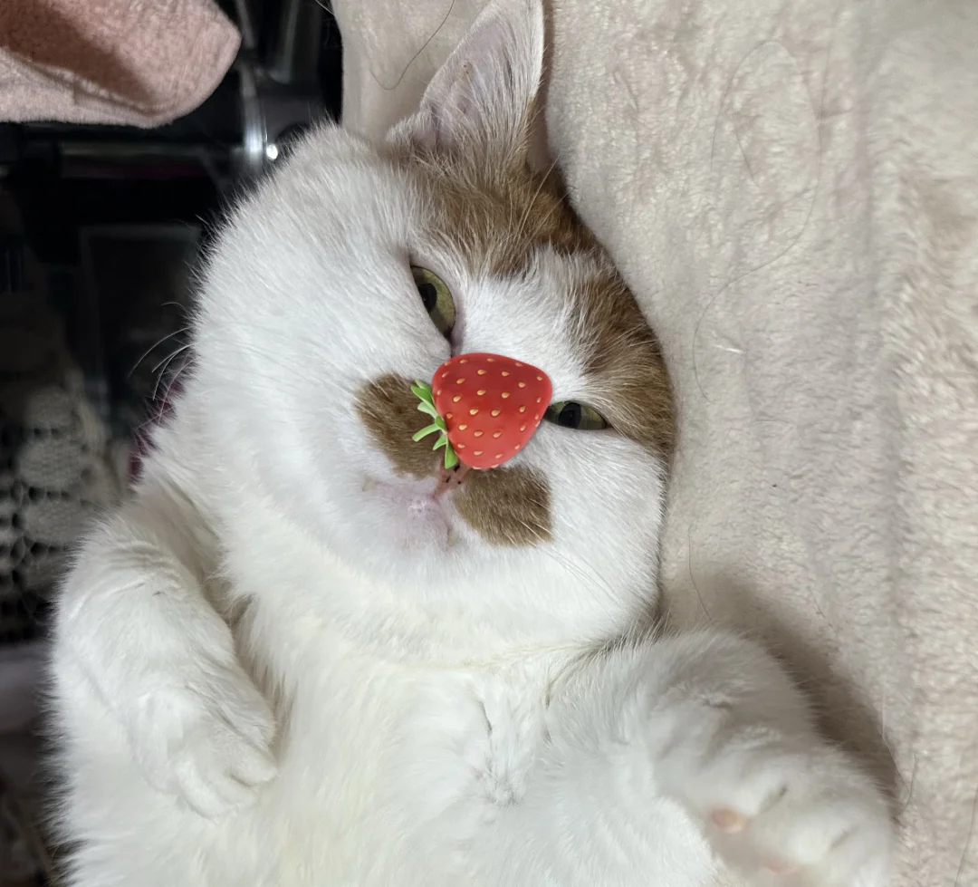 我回来了