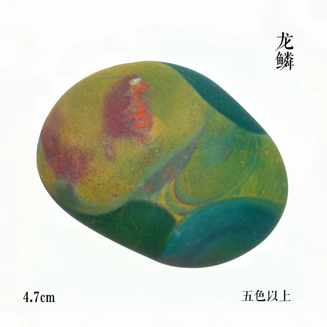 下乡新收获
