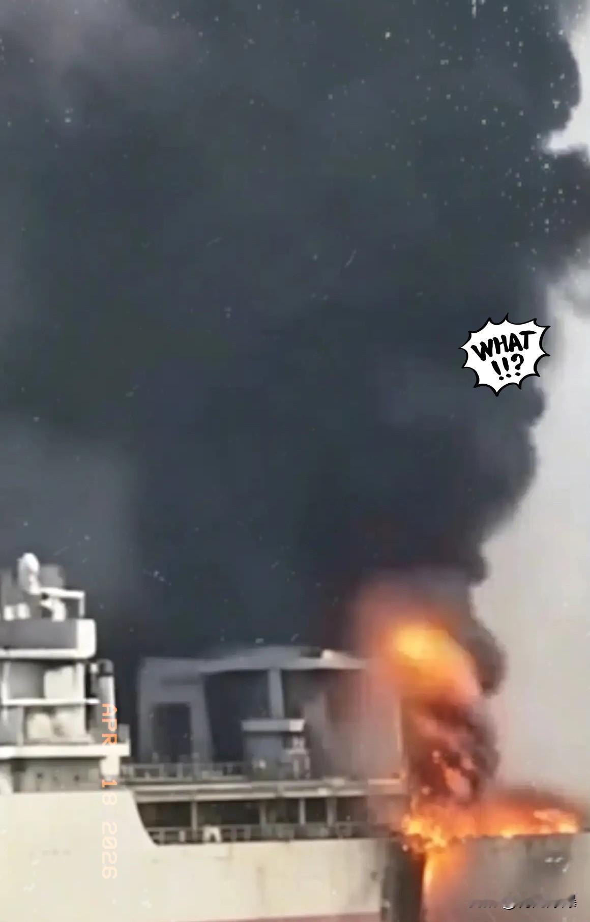 看到伊朗的消息，

我直接笑出了声！

4月18日消息，海事情报公司“油轮追踪者