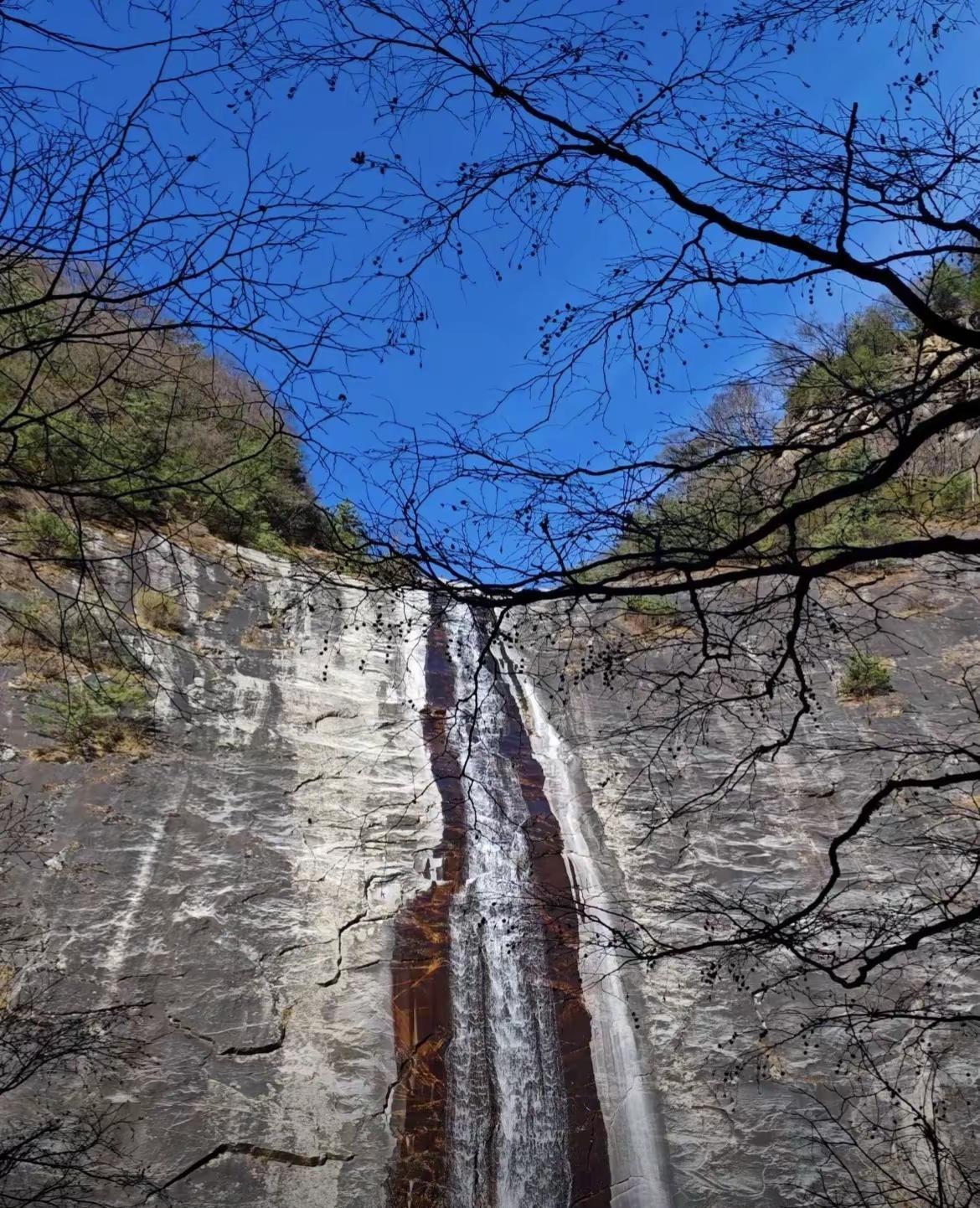朱雀国家森林公园 朱雀国家森林公园 天然氧吧 周边游 登上山顶看美景