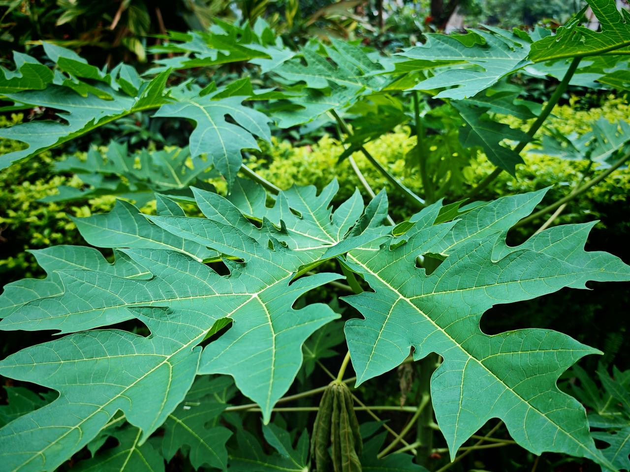 春日生活打卡季 春日一到，感觉连空气里都弥漫着浪漫的味道！晃晃悠悠间，时光就悄然