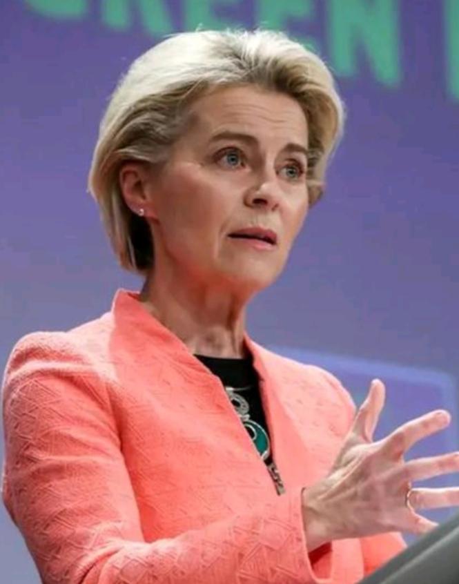 冯德莱恩指责俄罗斯禁止出口汽油！

近日，欧盟委员会主席冯德莱恩公开指责俄罗斯全