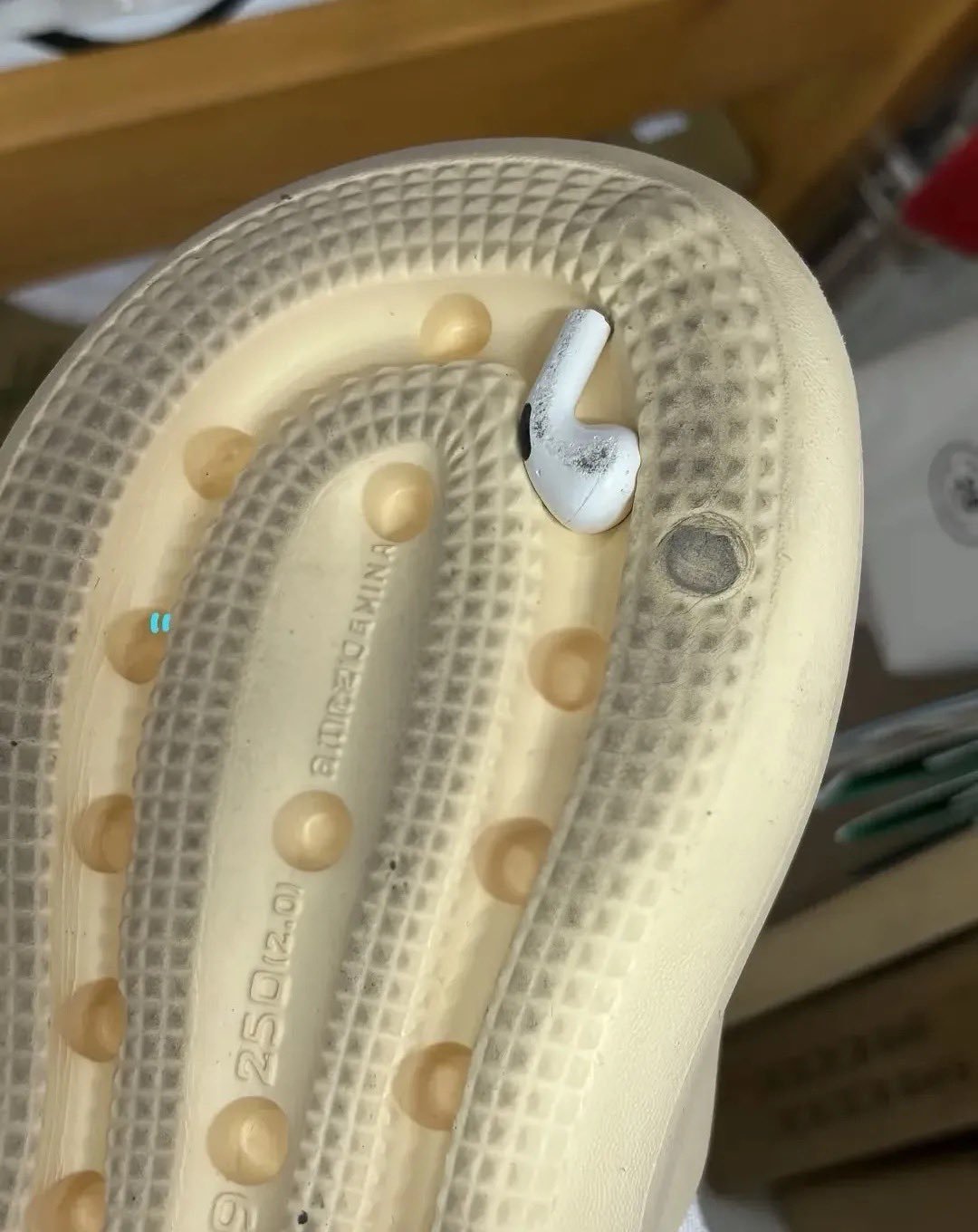 一位网友发帖说，AirPods 丢了快两个星期，一直以为是家里的狗狗偷偷叼去玩了
