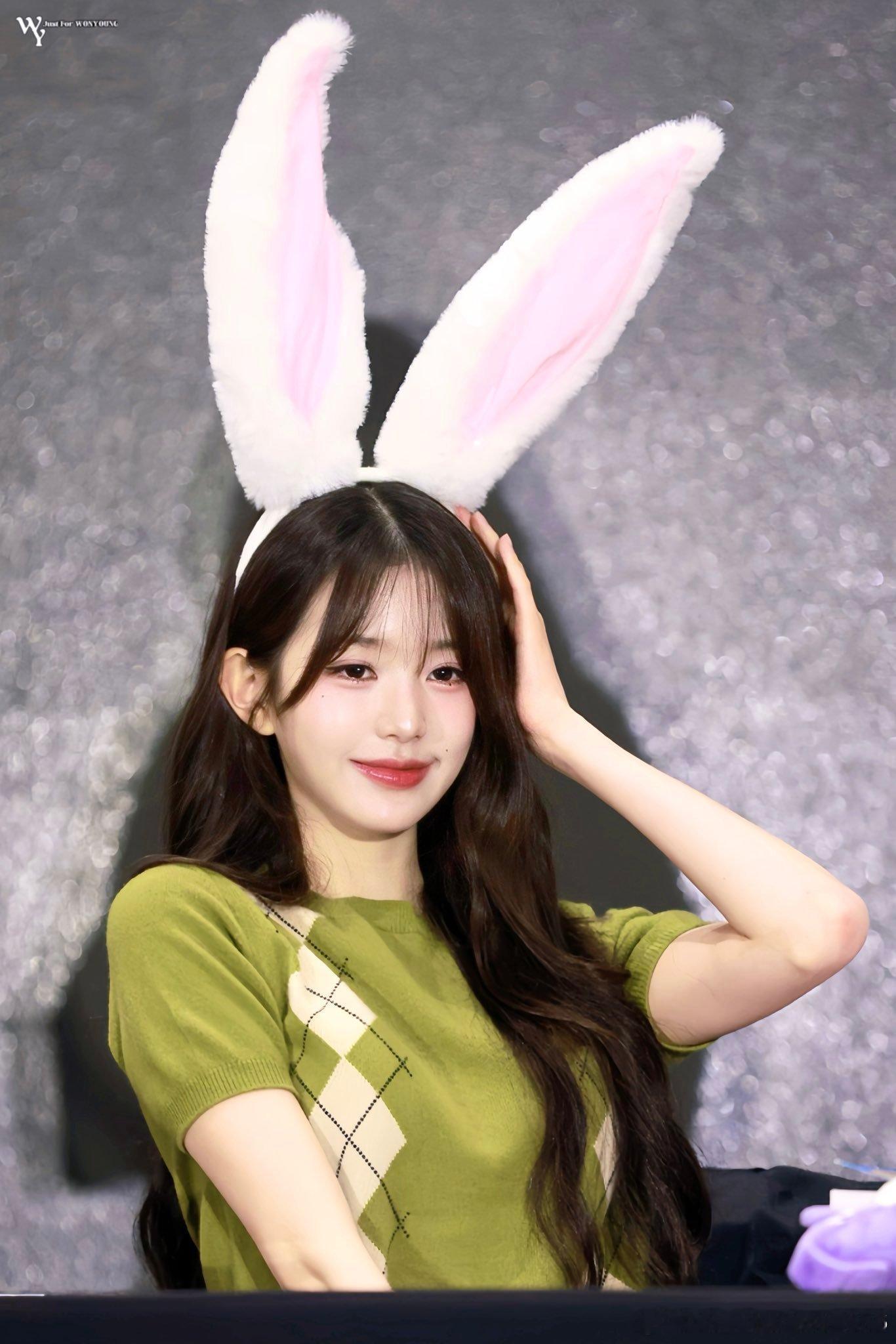兔子🐰or猫咪🐱 