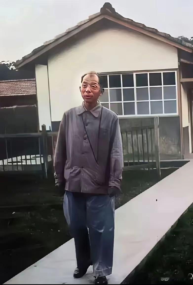 这是少帅吗？看整个人物的形象，尤其是脸上的轮廓，应该是少帅，但实事求是讲，这张照