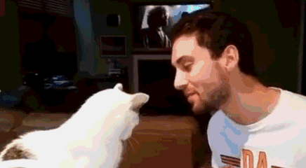 猫猫：亲什么，不可以 