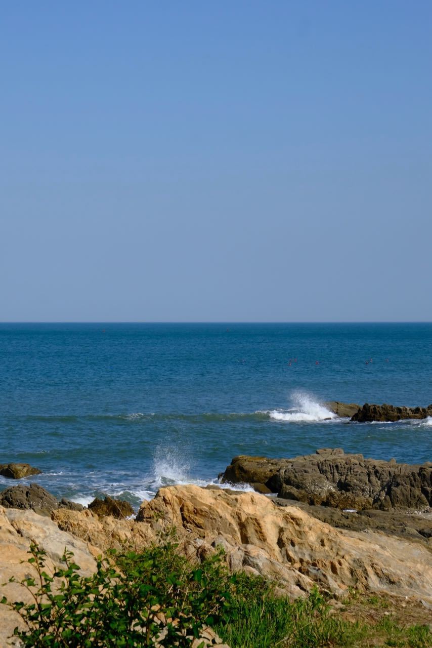 🌊 ​​​