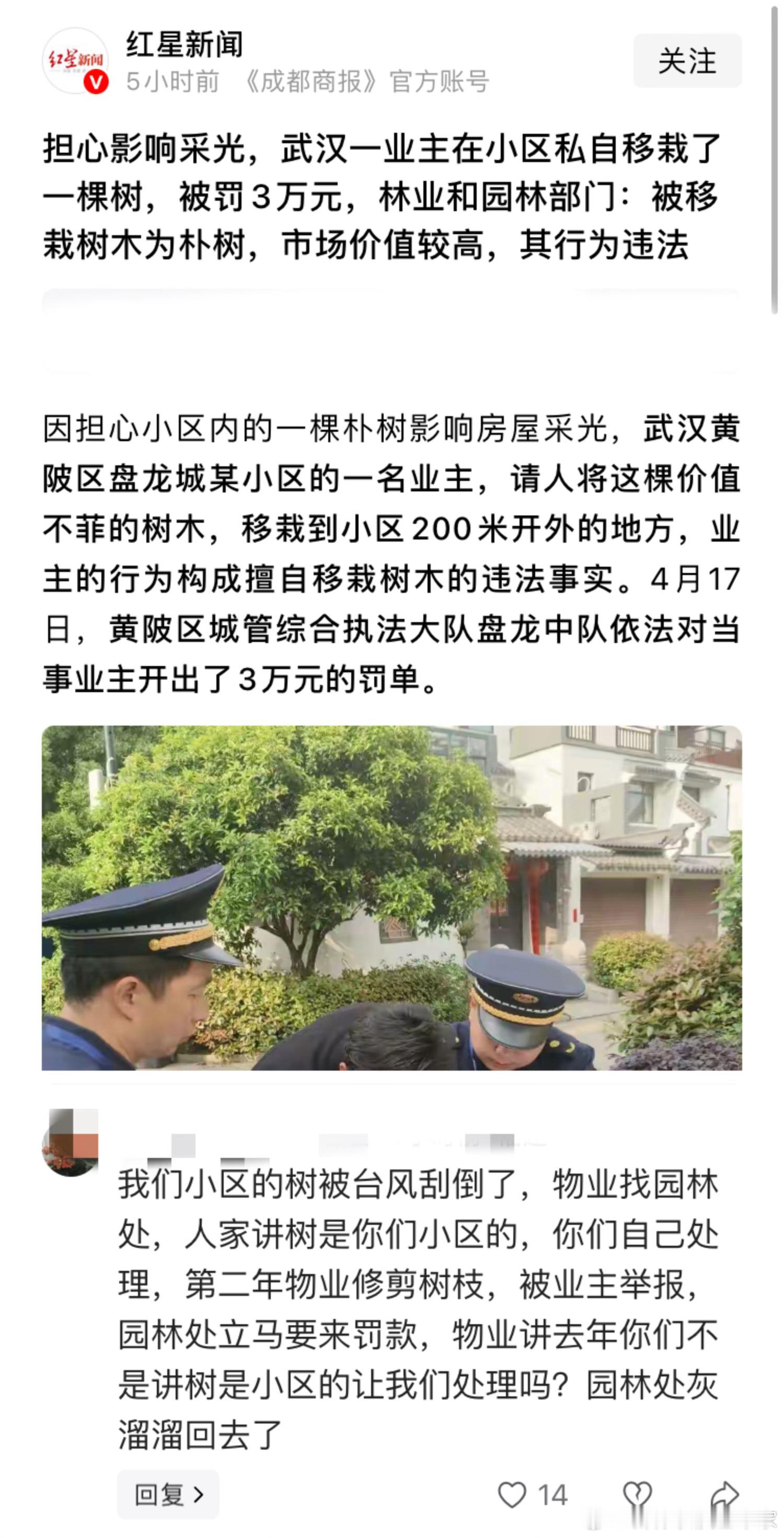 假如小区的树砸死人，谁来赔，会赔多少钱。