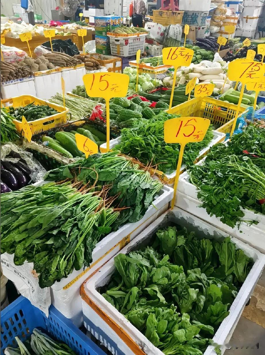 广东江门的青菜，这么贵了，应该损坏很多吧，没人买吧。我可以一辈子不吃肉，也不能不