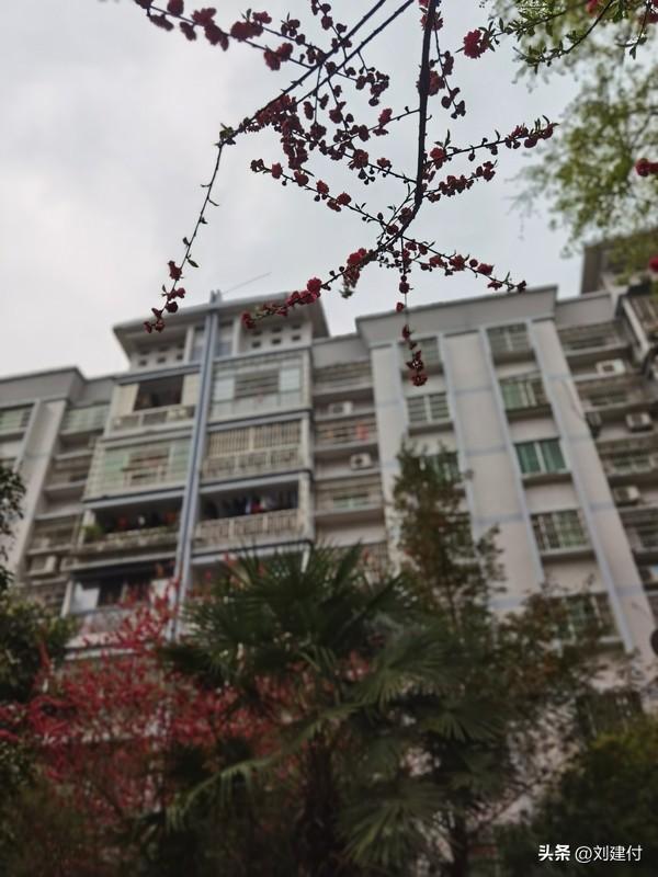 官方通报女大学生入院输液后身亡，这事儿可太让人痛心了。2026年1月，19岁的女
