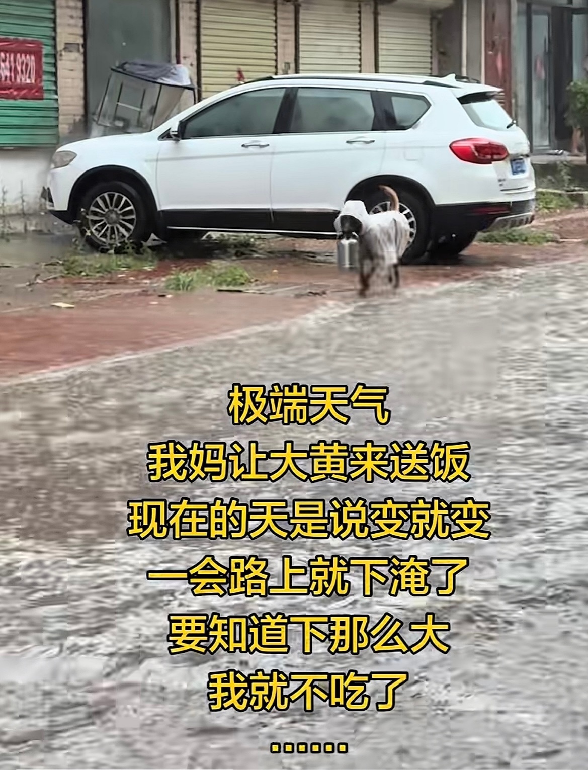 影响上亿女性的病更名了养狗的见的多了，狗养的还是第一次见哈哈哈哈哈哈 