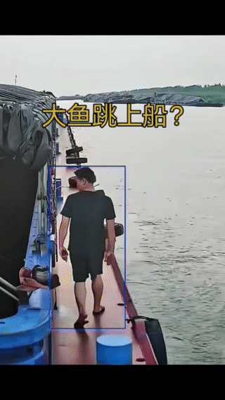 男子正在巡视自家的货船。
一条大鱼突然跳到了船上？
男子见状迅速跑过去将大鱼抓住
