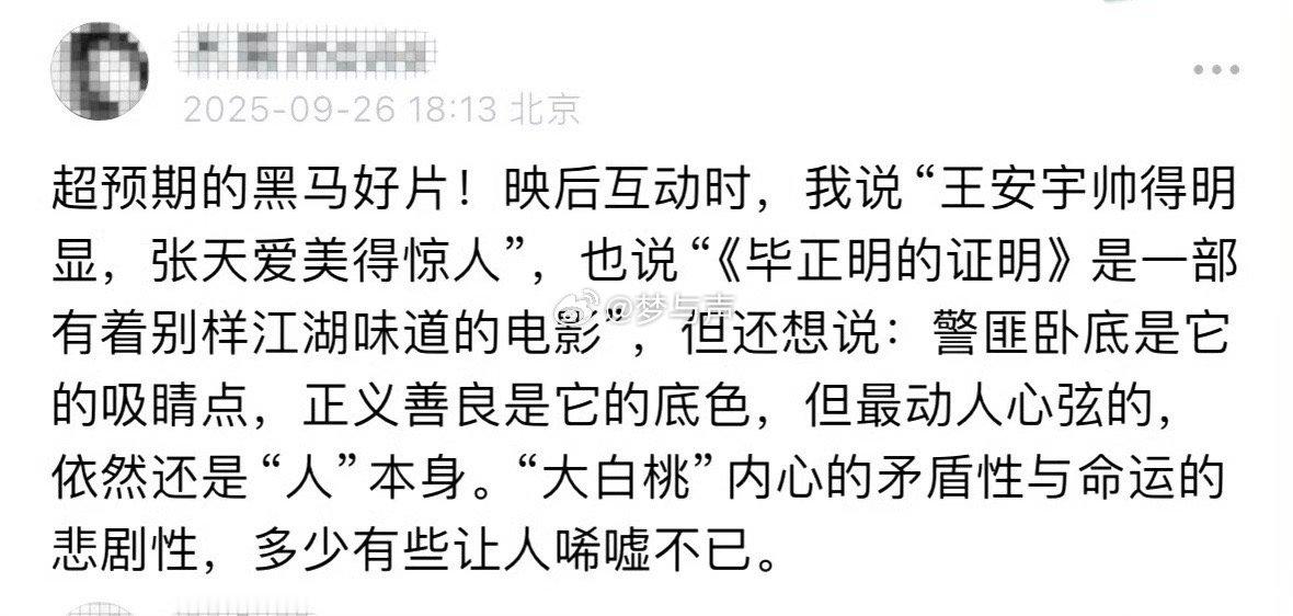 建议毕正明的证明开0.5倍速其实看演员阵容的时候就有在感慨，怎么会有这么好的电影