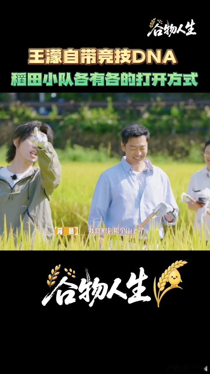 王濛从没打过这么久的仗 冰刀飞驰的赛场讲求快准狠，综艺的长期赛程不断消耗精力，王