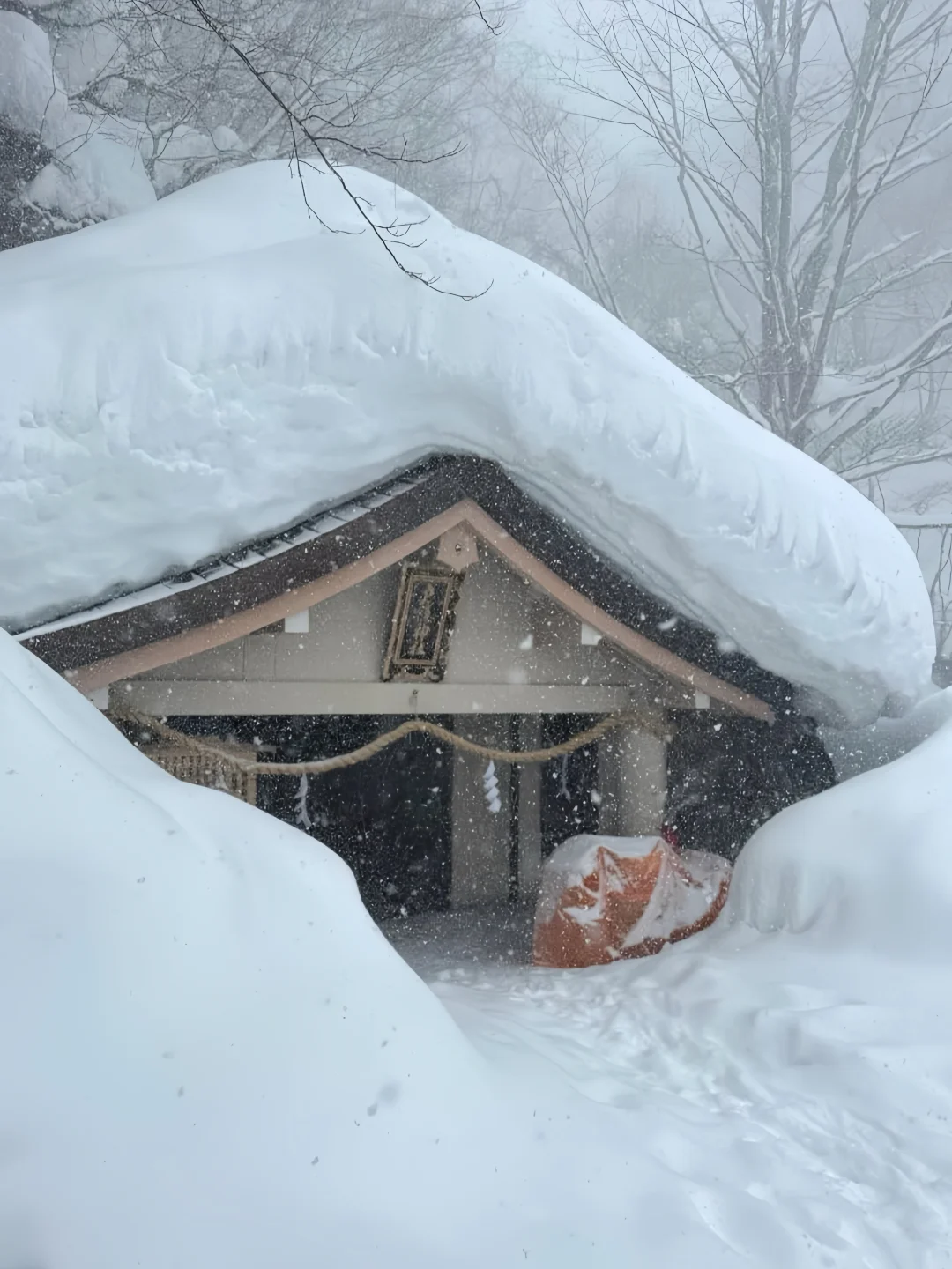 长野|你会想在冬天去这样安静的地方吗？