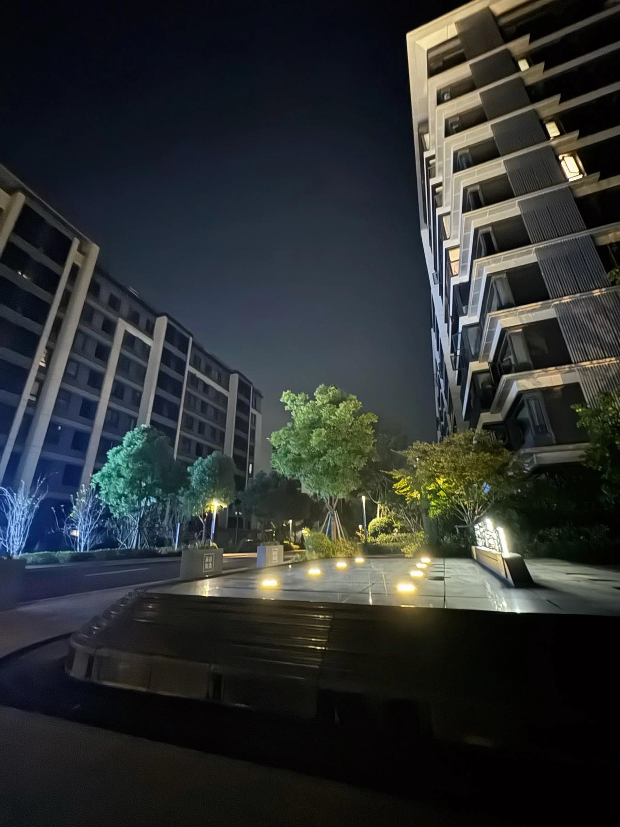 突然刮大风降温了！本来预计小布布和小德今天可以出院，但布布还有炎症，刚学会拉尿拉