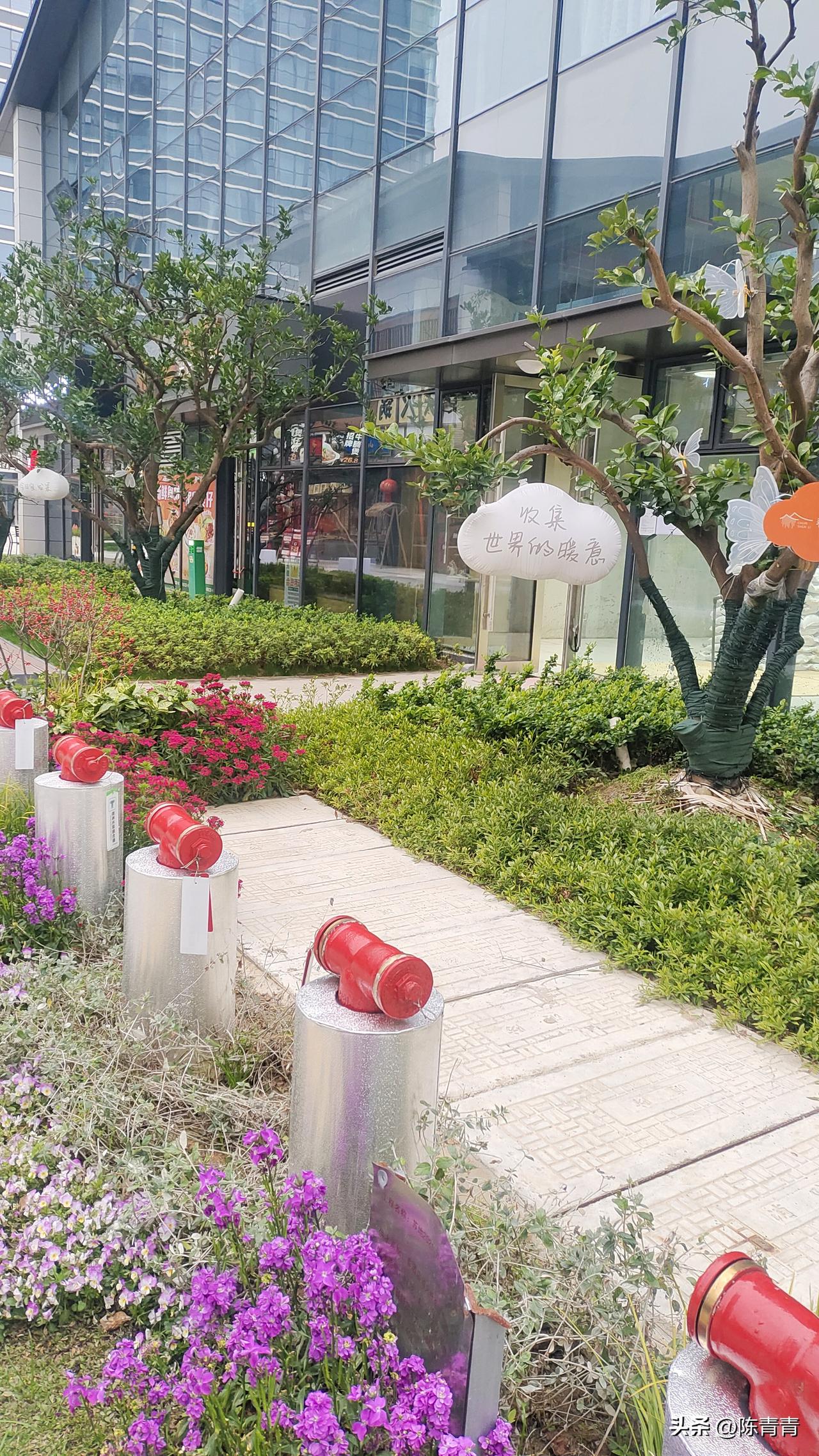 地上草坪的花盛开了，旁边牌牌上写着“收集世界的暖意。”办事认真，说话客气，真人玫