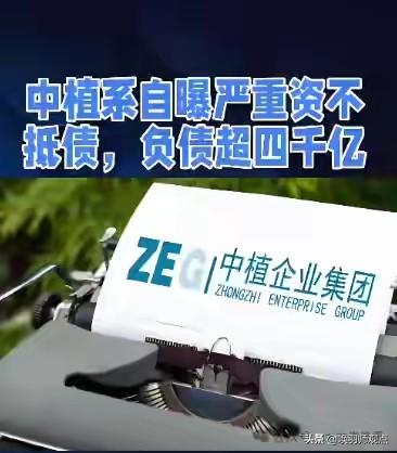 3.6万亿“金融帝国”化成灰！昔日“中国黑石”破产清算，6万投资人血本难归！20