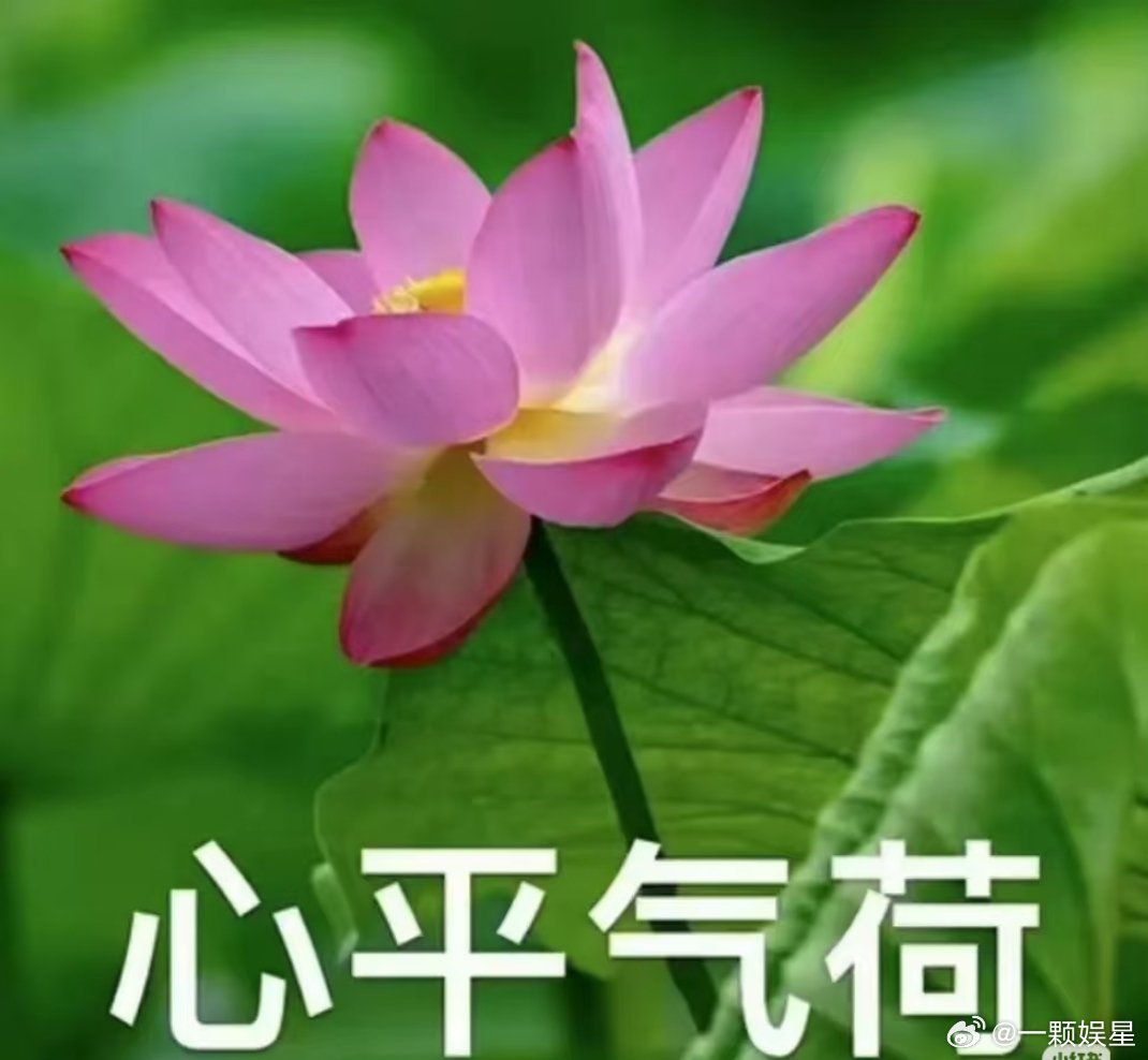 鹿晗工作室你让我很没面子主要还是鹿晗他自己吧，只能说他自己也不太在意营业这些～近