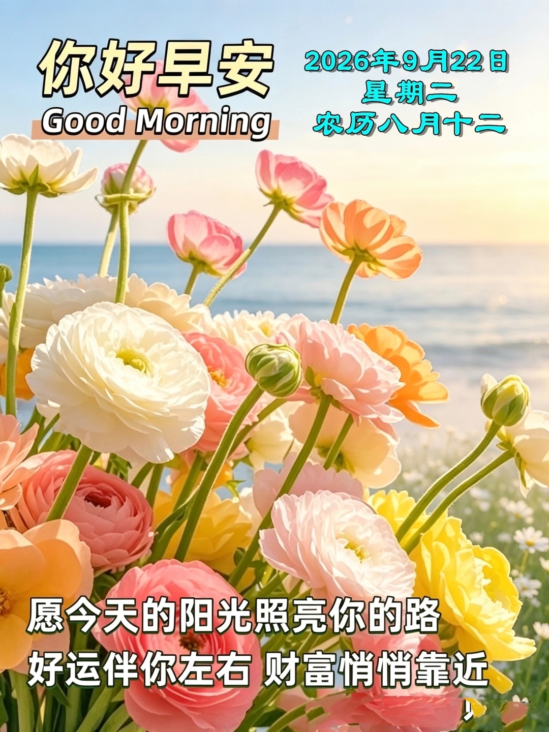 🌺💜秋日阳光灿烂 🌸💞²⁰²⁶/9.22. 八月十二☀️⛵️周二快乐, 