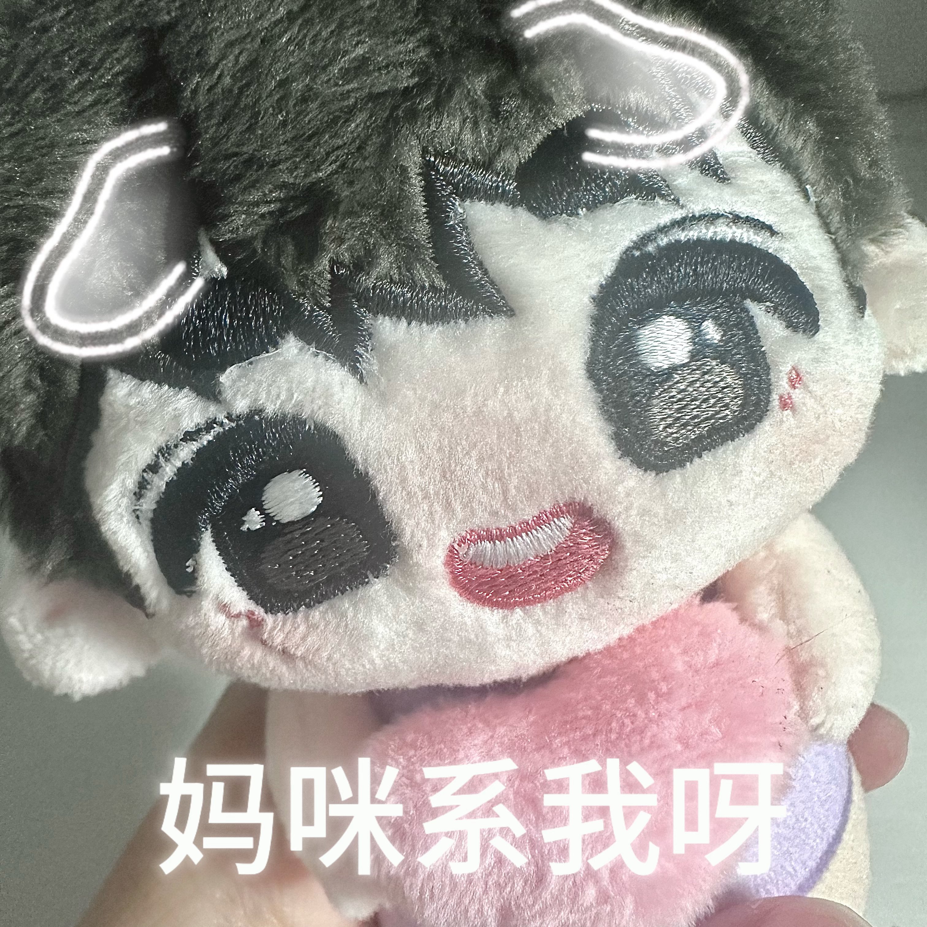 刘耀文  人 泥嚎我是丸1%刘耀文