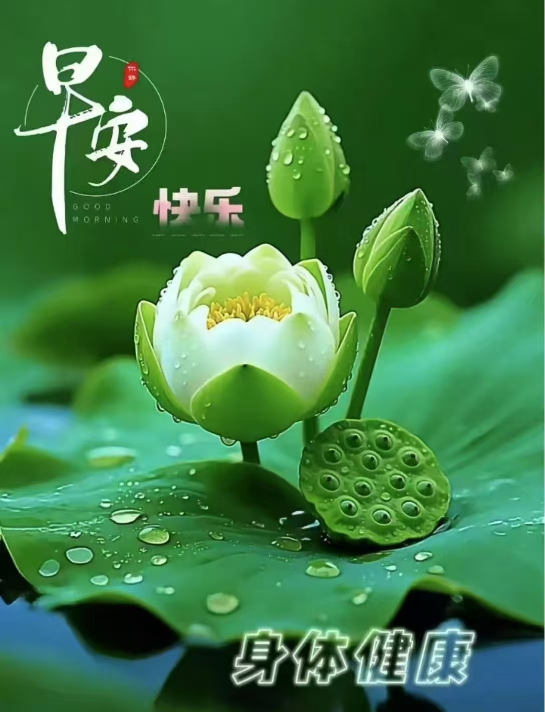分享图片 