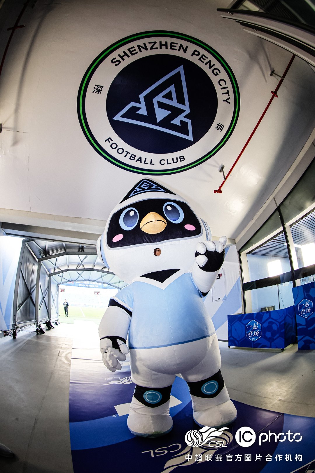 🤳深圳新鹏城 新鹏城的2026