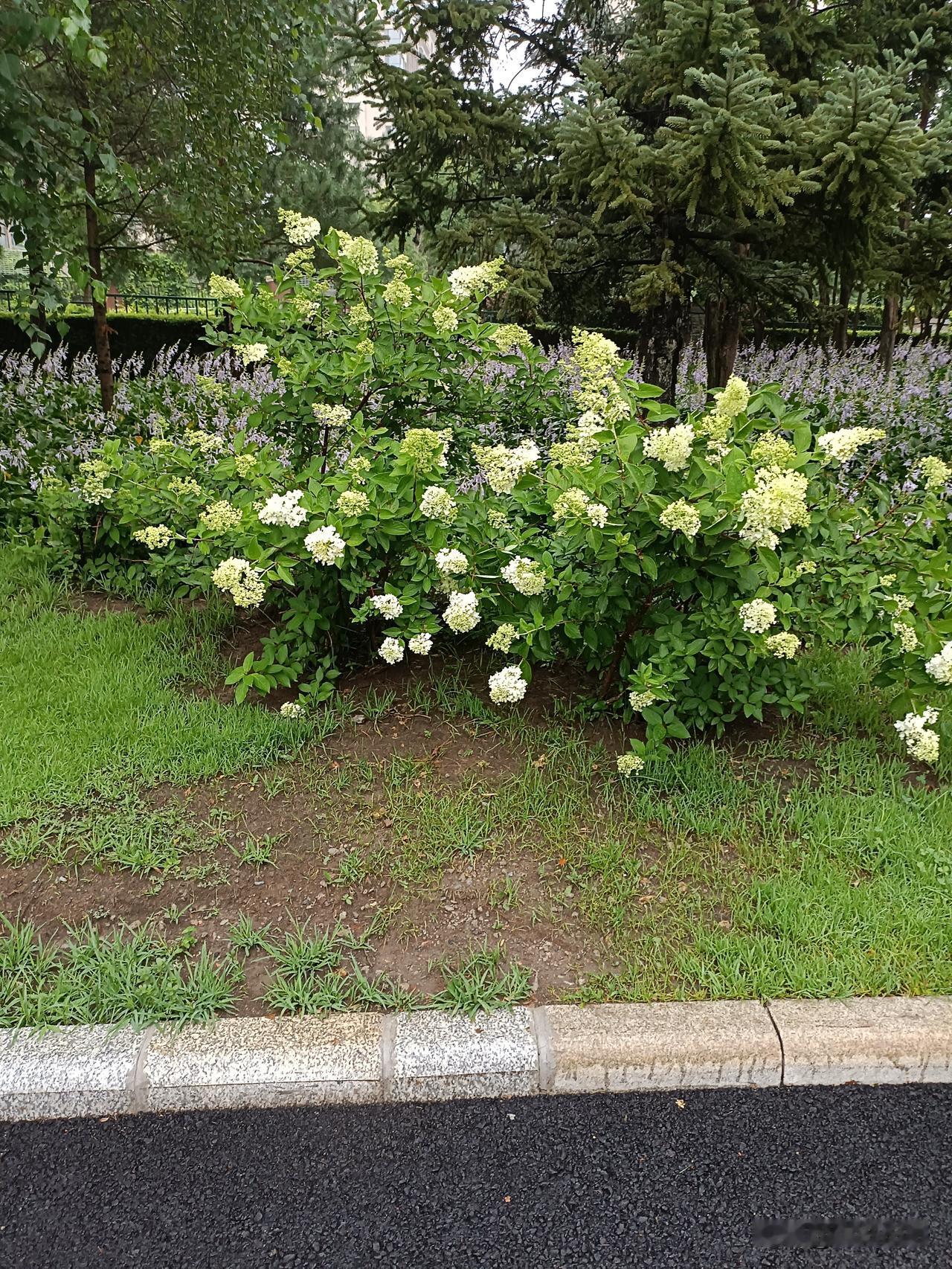 狐假虎威、狼狈为奸、龙凤呈祥、鸡鸣狗盗、蛇蝎之心、鹬蚌相争、
犬免相争、狗尾续貂