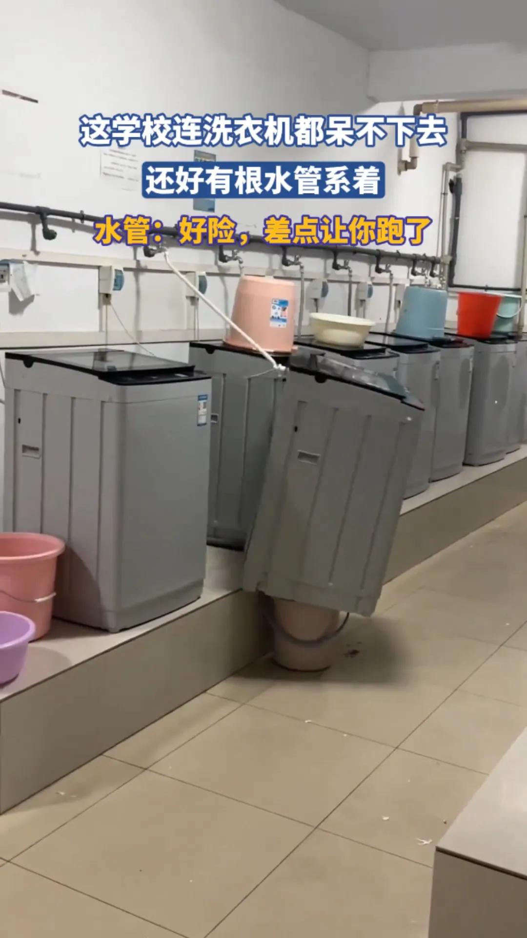 洗衣机：这学我是一天也待不下去了，还好水管拉住了我
 
在某学校的洗衣房里，一台