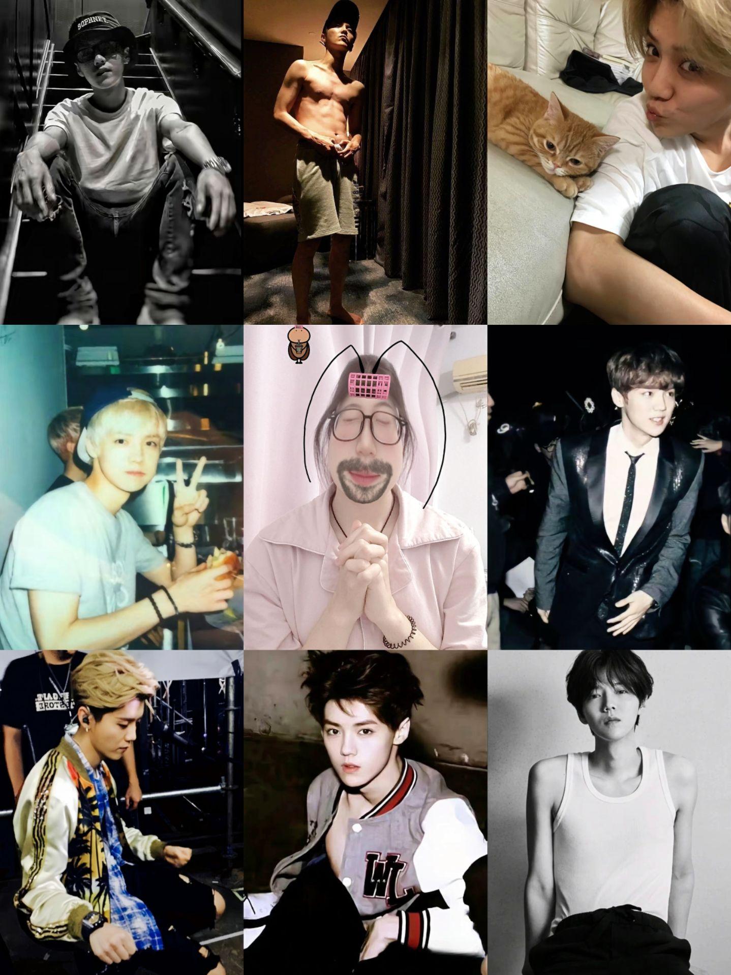 如此权威的长相