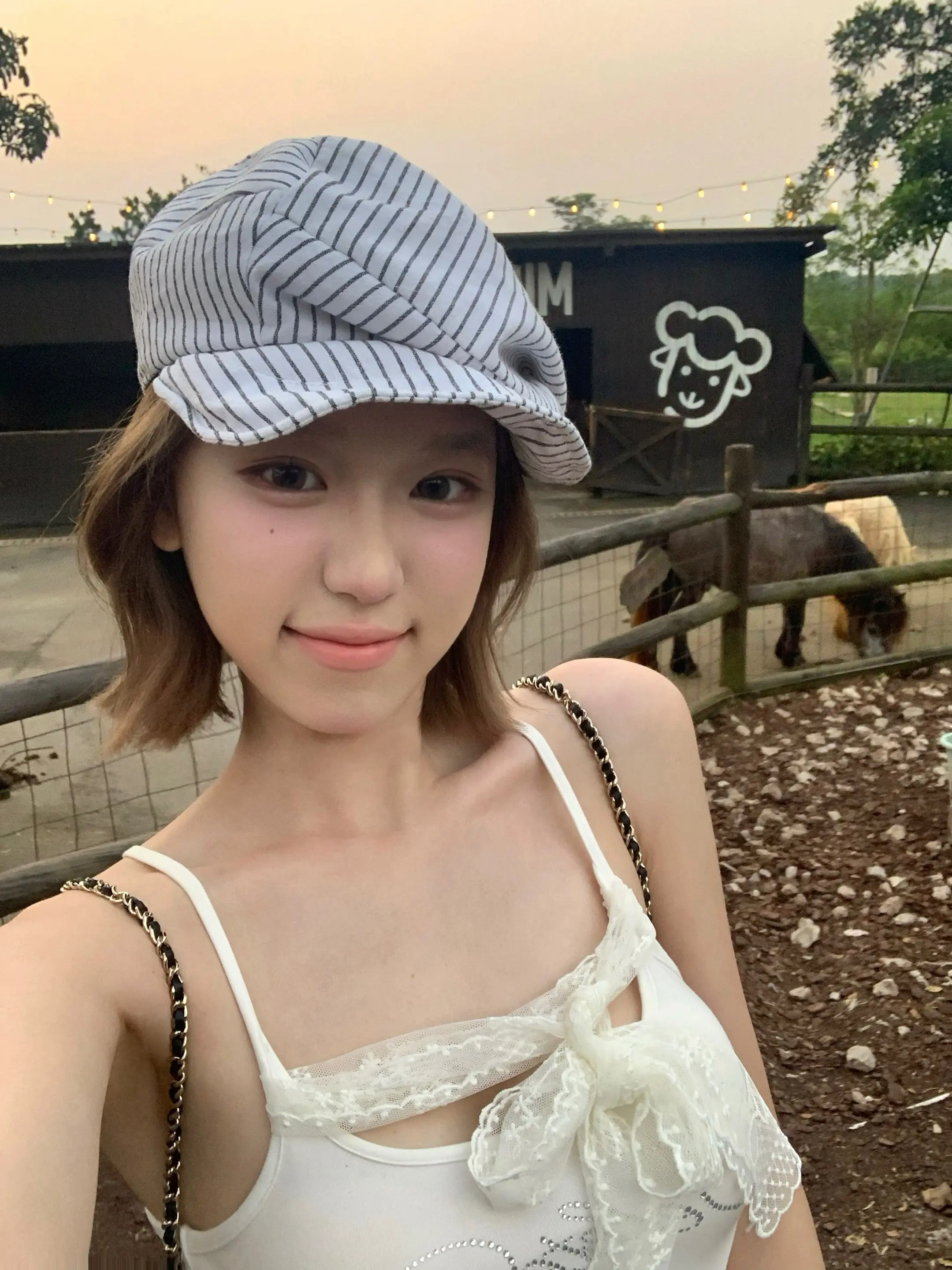 一周三次的小狗牧场！