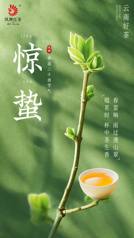 惊蛰丨雷惊一瓯春，芽破万千晓