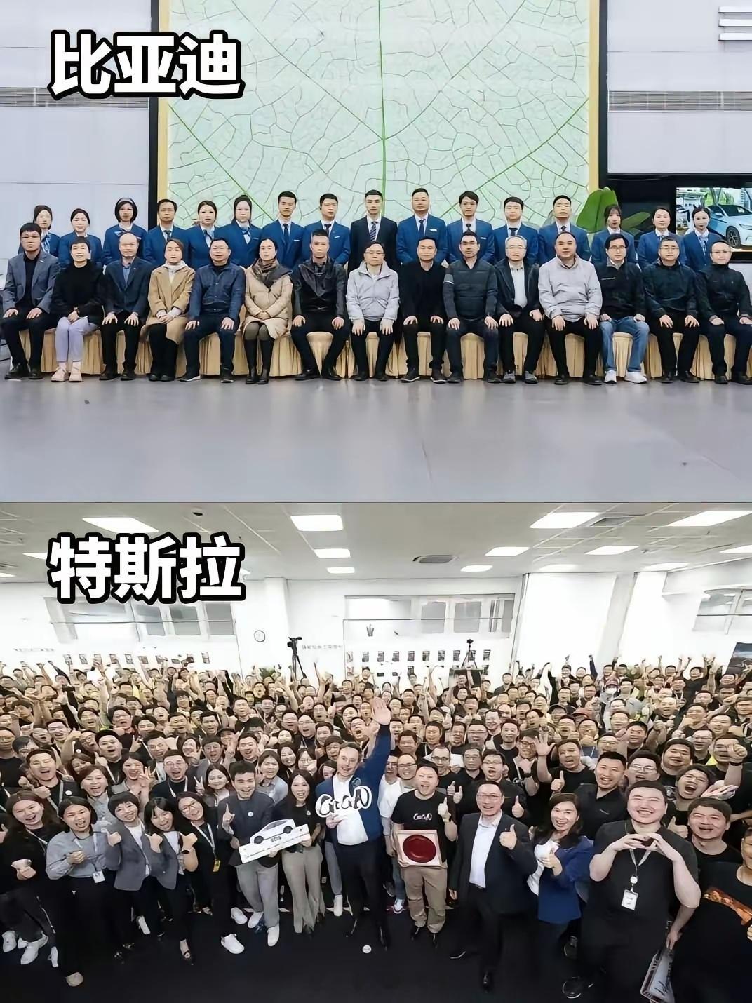 中美文化差异，此刻具象化了！
