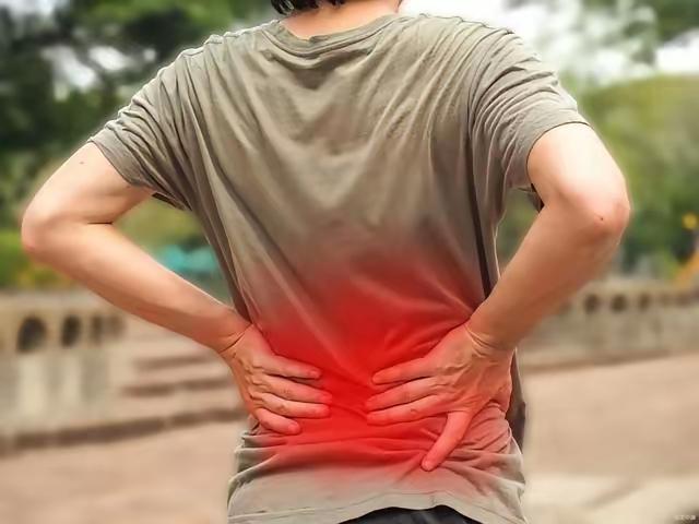 应粉丝要求，再发一遍改版后腰痛药膳，
改版后：杜仲、枸杞、熟地、黑豆、制黄精、巴