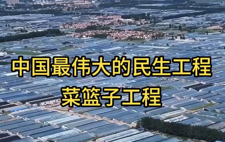 你可能没意识到，中国人菜市场里的自由，在全球算是一种奢侈。东京一颗卷心菜卖40块