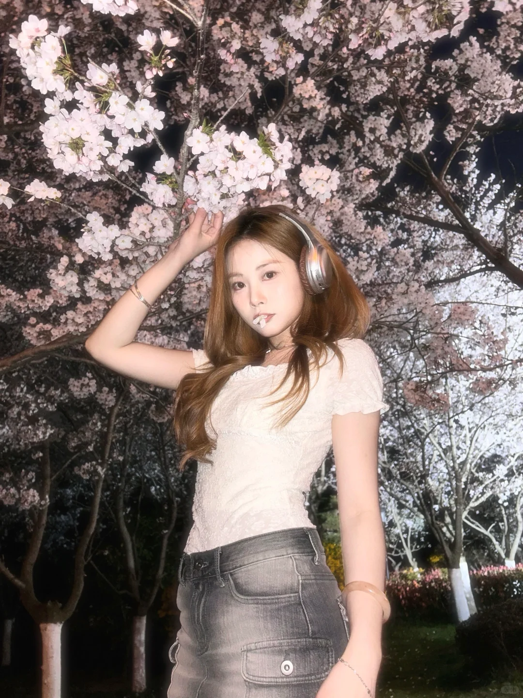 存档一下四月的夜樱🐈‍