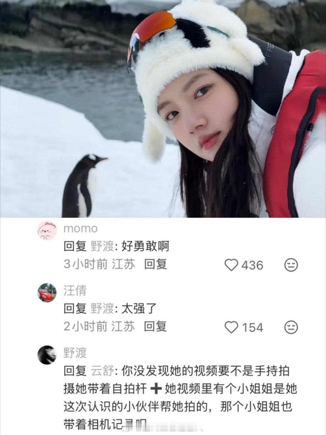 我不行了 任敏没带助理独自前往南极旅游被夸特别的勇敢很强